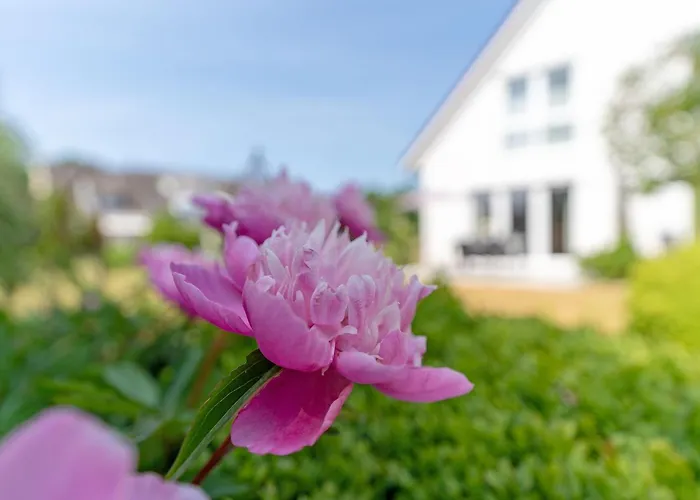 Apartamento Fasanenweg 8b Katja *